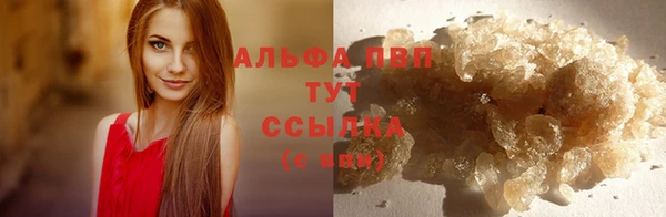 спиды Новокубанск