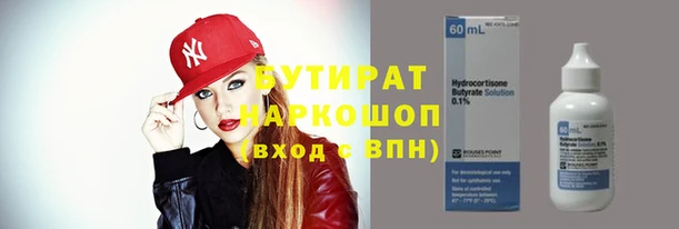 хмурый Почеп